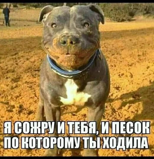 И п евжгчитъвнипюон цитатами ЪЬЕШВШША