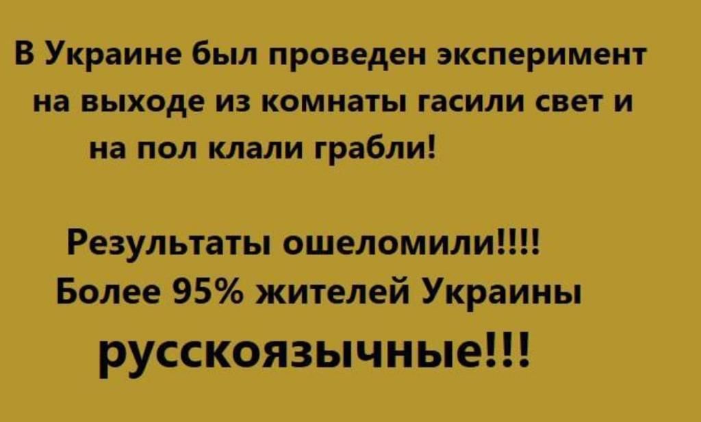 В Украине был проведен эксперимент на выходе изкомнаты гасили свет и на пол клали грабли Результаты ошеломили Более 95 жителей Украины русскоязычные