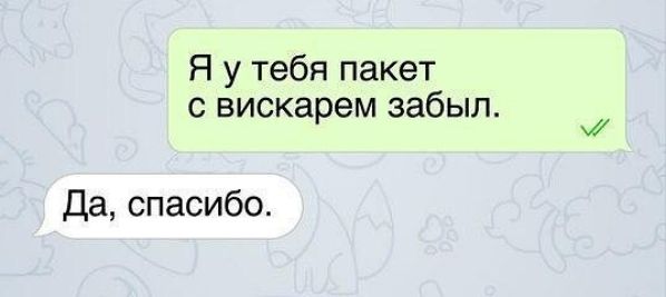 Я у тебя пакет с вискарем забыл Да спасибо