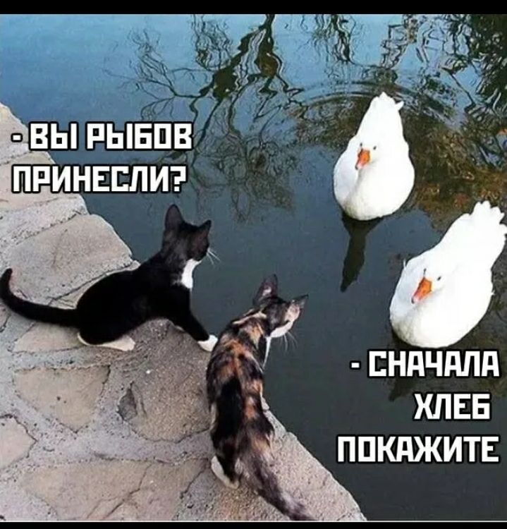 ЕНПЧППП ХЛЕБ ППКдЖИТЕ