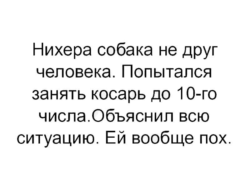 Нихера собака не дРУг человека Попытался занять косарь до 10 го чиспаОбъяснип всю ситуацию Ей вообще пох