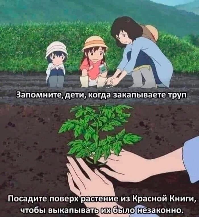 Запомните дети когда заиапываете труп Посадите поверх растение из Красной Книги ЧТОБЫ ВЫКВПЫВЗЬ было МЕЗЕКОНИО