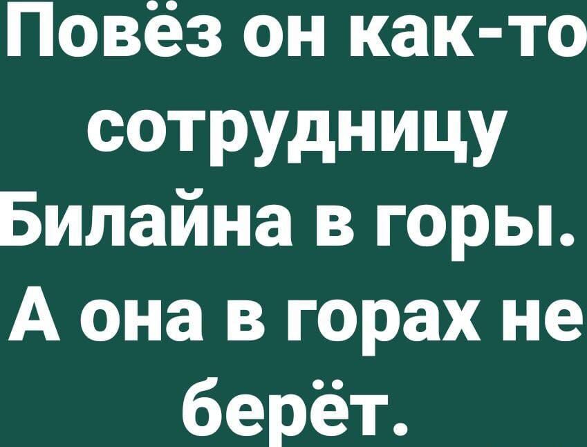 Повёз он как то ТРУдНИЦУ Билайна в горы А она в горах не берёт