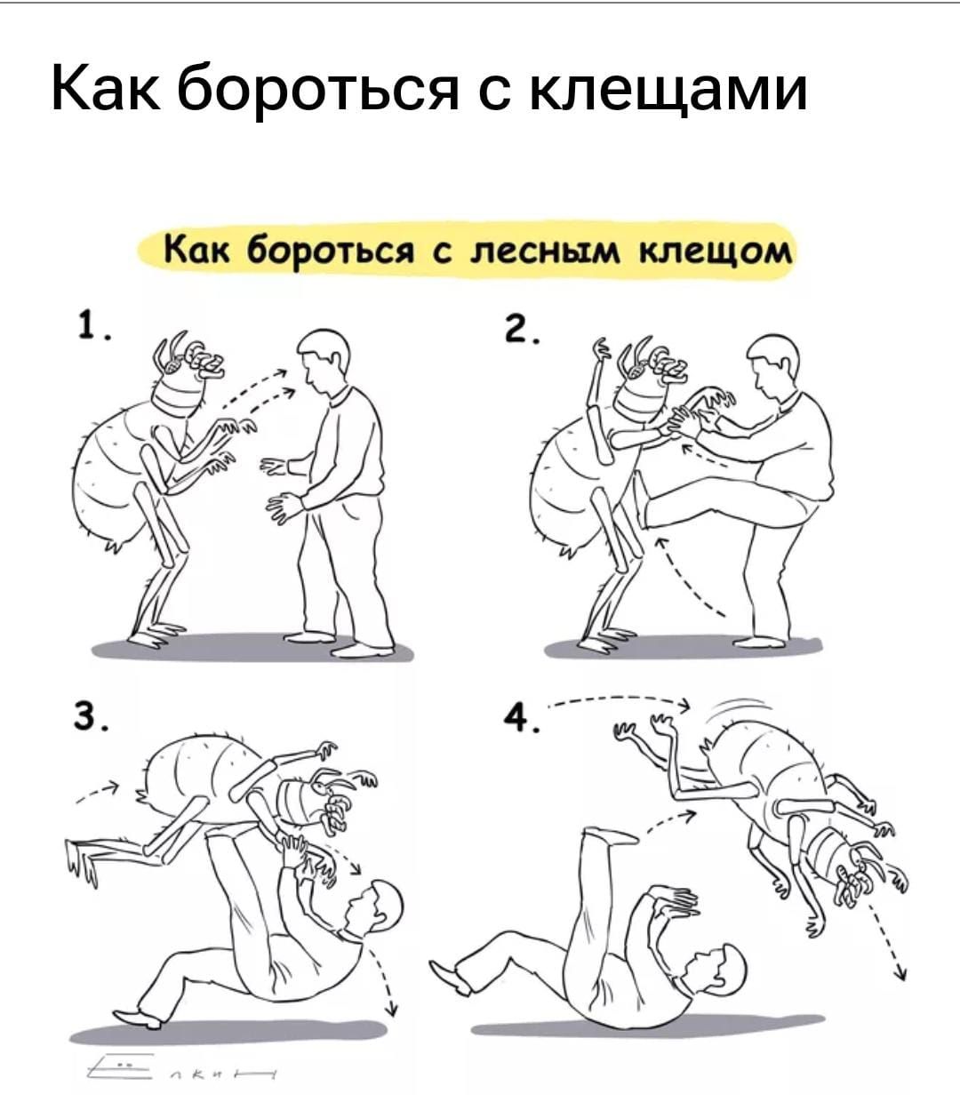 Как бороться с клещами
