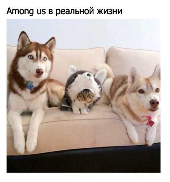 Атоп из в реальной жизни