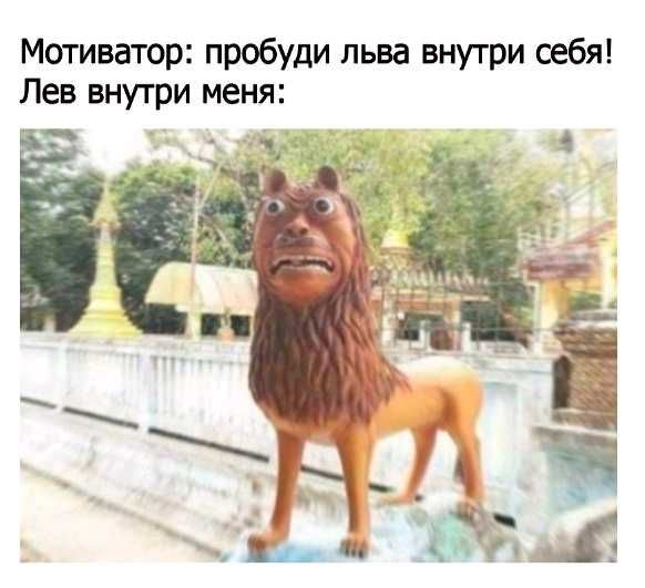 Мотиватор пробуди льва внутри себя Лев внутри меня