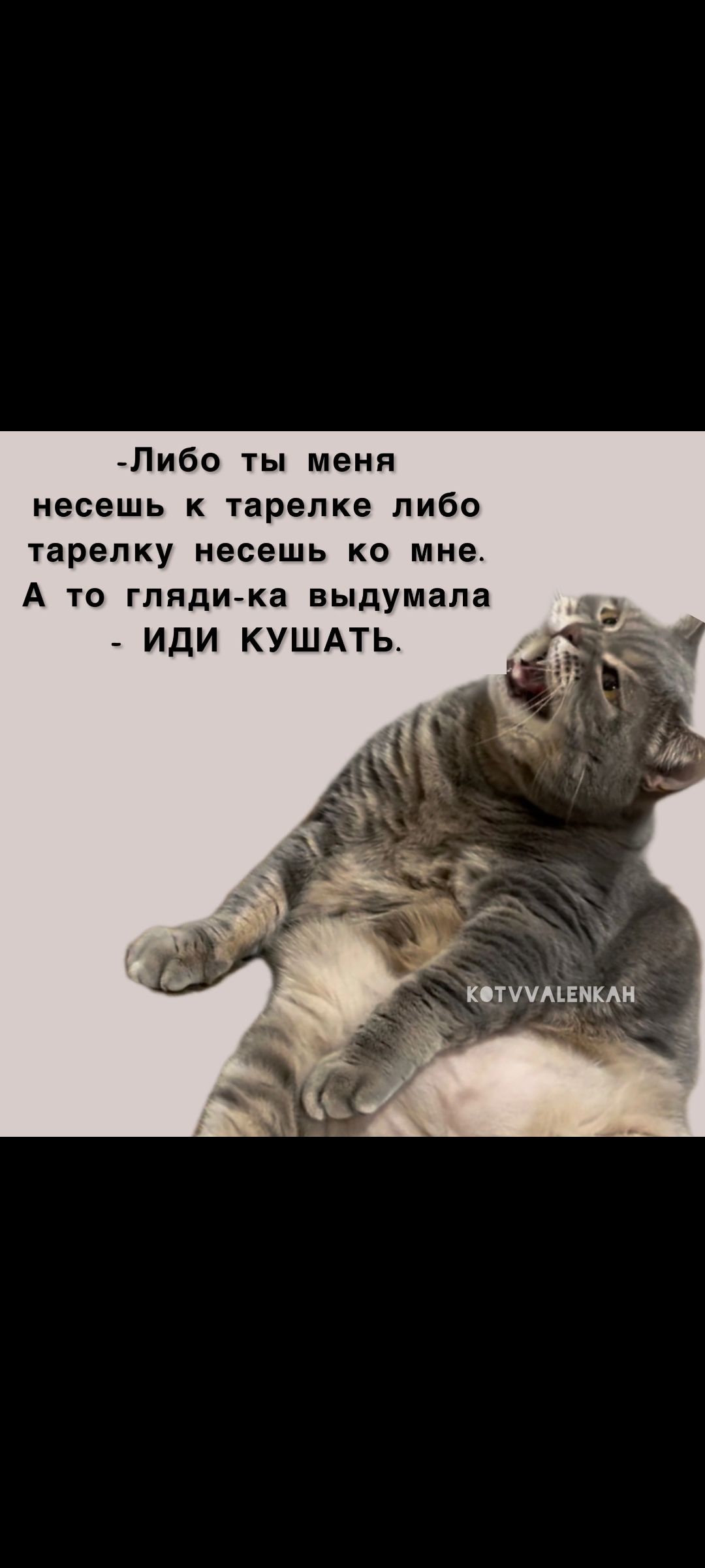 Либо ты меня несешь к тарелке либо тарелку несешь ко мне А то гляди ка выдумала ИДИ КУШАТЬ