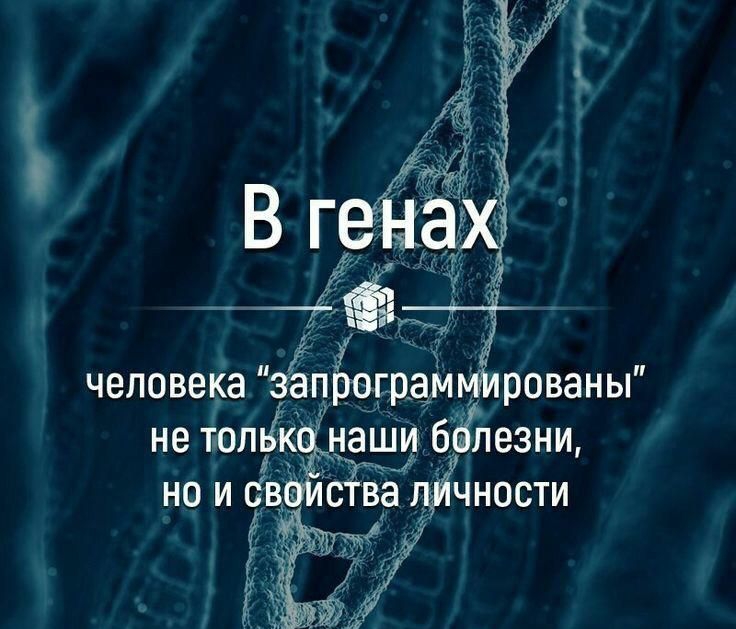 52 человека програмдарованы не топ Ёнаши 6 пезни но и Св цйучности