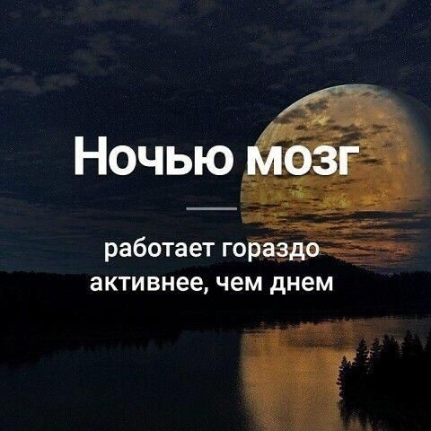активнее ЧЕМ днем