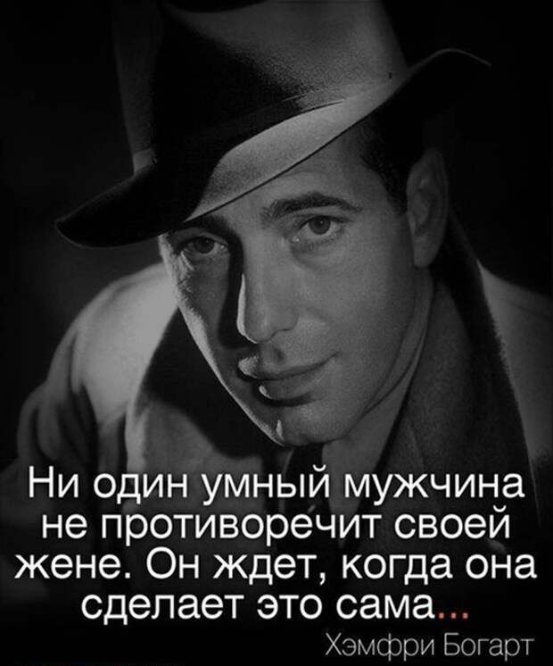 Ни один Умный мужчина не противоречит своей жене Он ждет когда она сделает ЭТО сама Хэмфри Богарт