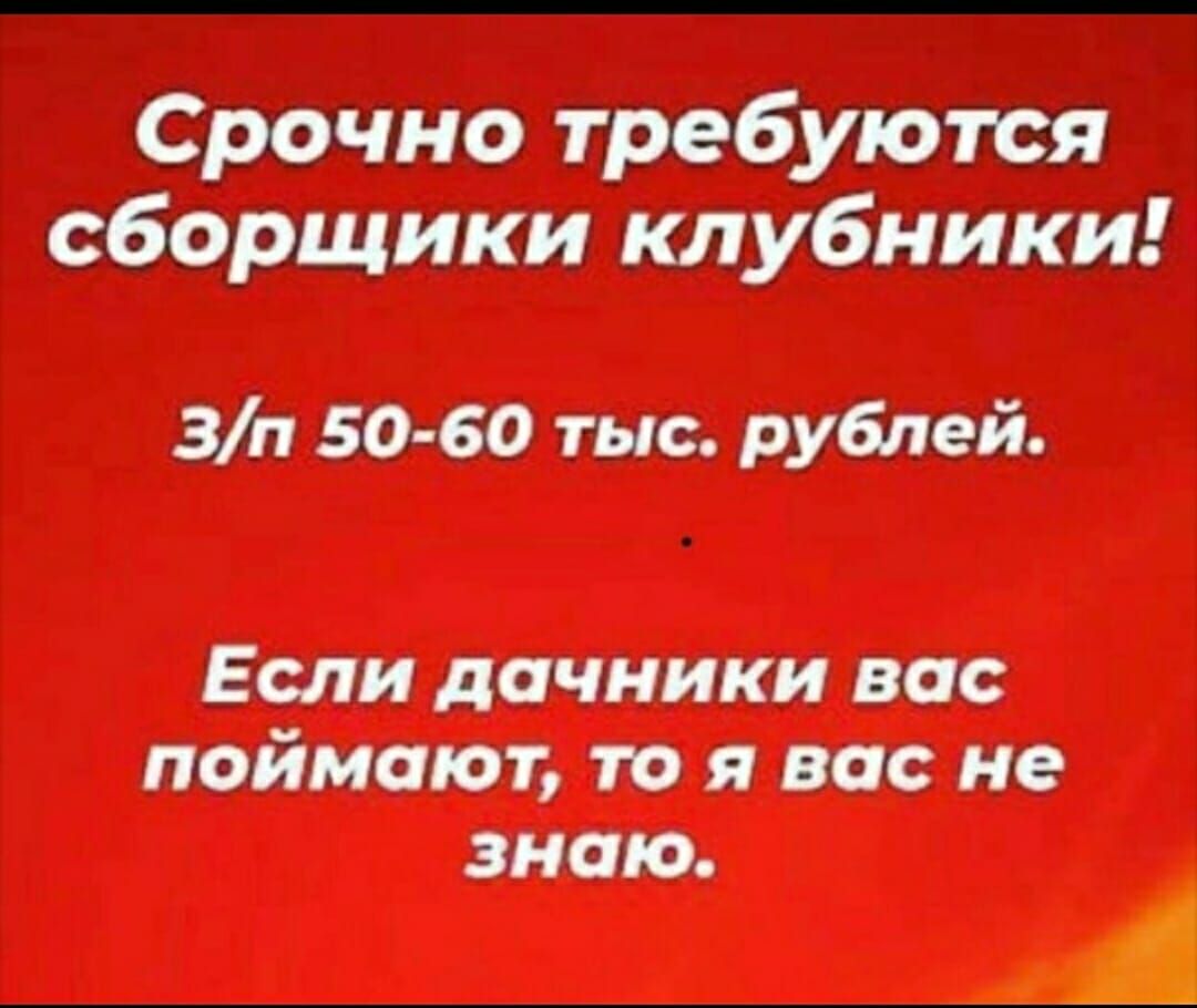 Если дачники вас поймают, то я вас не