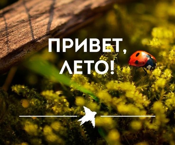 Е 55 :'привёт.  Лето!  А