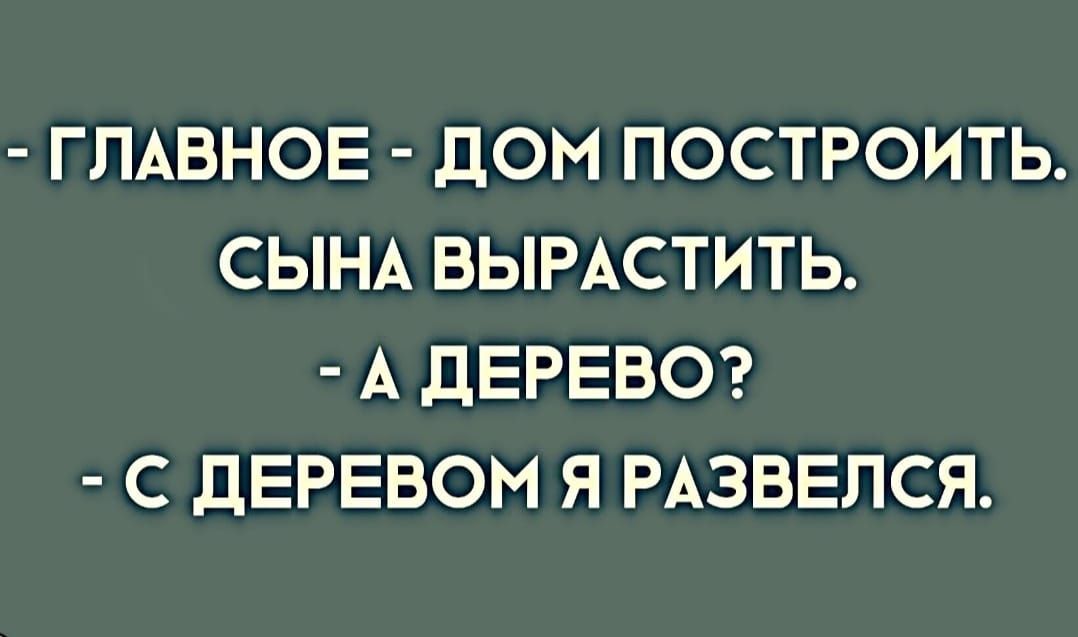 ГЛАВНОЕ ДОМ ПОСТРОИТЬ СЫНА ВЫРАСТИТЬ А дЕРЕВО С ДЕРЕВОМ Я РАЗВЕПСЯ