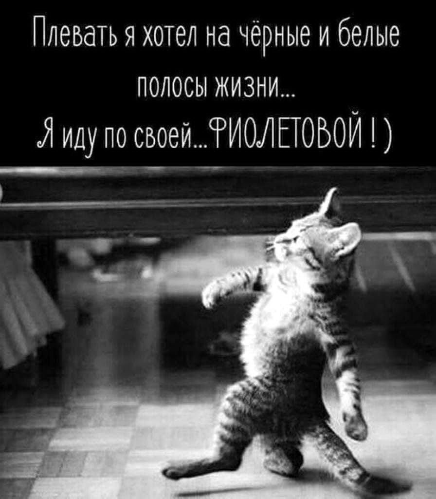 Плеоать я хотел на чёрные и белые полосы жизни и Я иду по своейИОЛЕЮБОИ