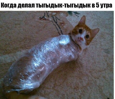 Когда двпап тыгыдыи тыгыдыи 5 утра