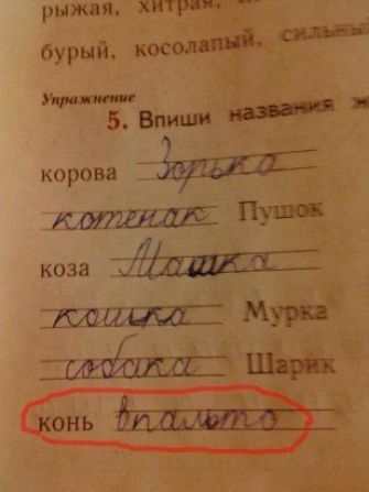 корова Уш коза мур д ШЛДПОМ_711ЕЬ _