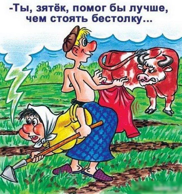 Ты зятёк помог бы лучше чем стоять бестолку
