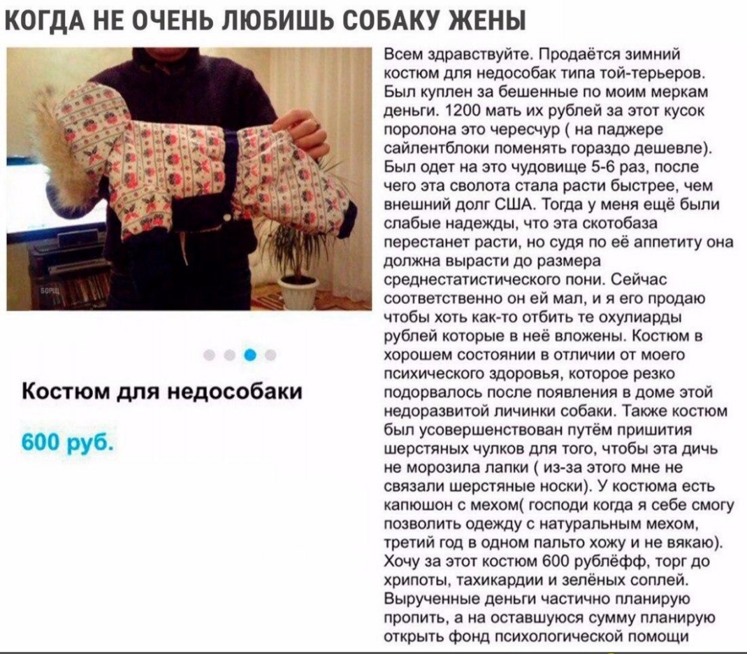 КОГДА НЕ ОЧЕНЬ ЛЮБИШЬ СОБАКУ ЖЕНЫ Костюм для недособаки труб Всем здравствуйте Продаётся зимний костюм для недособак типа той терьеров Был куплен за бешенные по моим меркам деньги 1200 мать их рублей за этот кусок поролона это чересчур на паджеро сайлентбпоки поменять гораздо дешевле Был одет на это чудовище 5 6 раз после чего эта свопота стала расти быстрее чем внешний долг США Тогда у меня ещё б