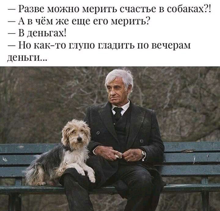 Разве _ ожио мерить счастье в собака А в чем же еще его мерить В деньгах _ Но както 1 _ по 121111ГЬНО вечерам ДСНЬГП