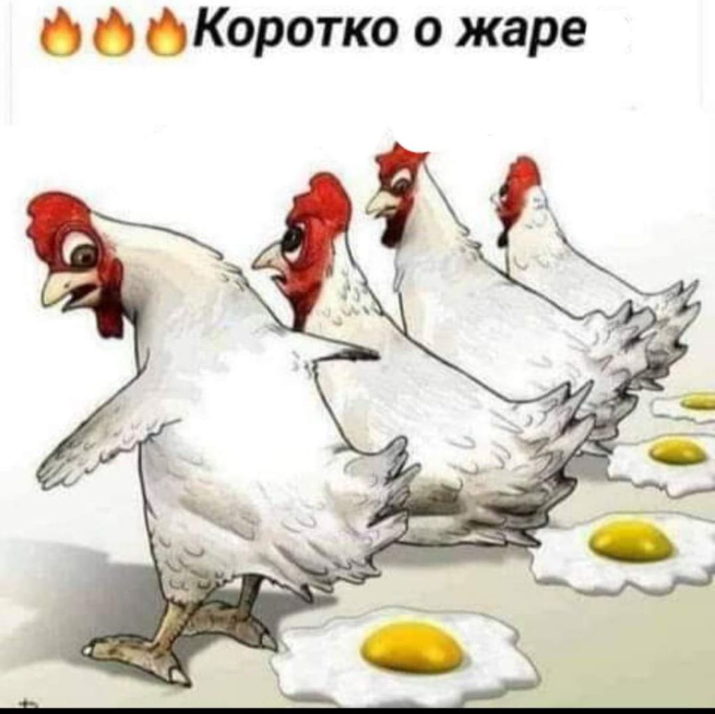 ф Коротко о жаре