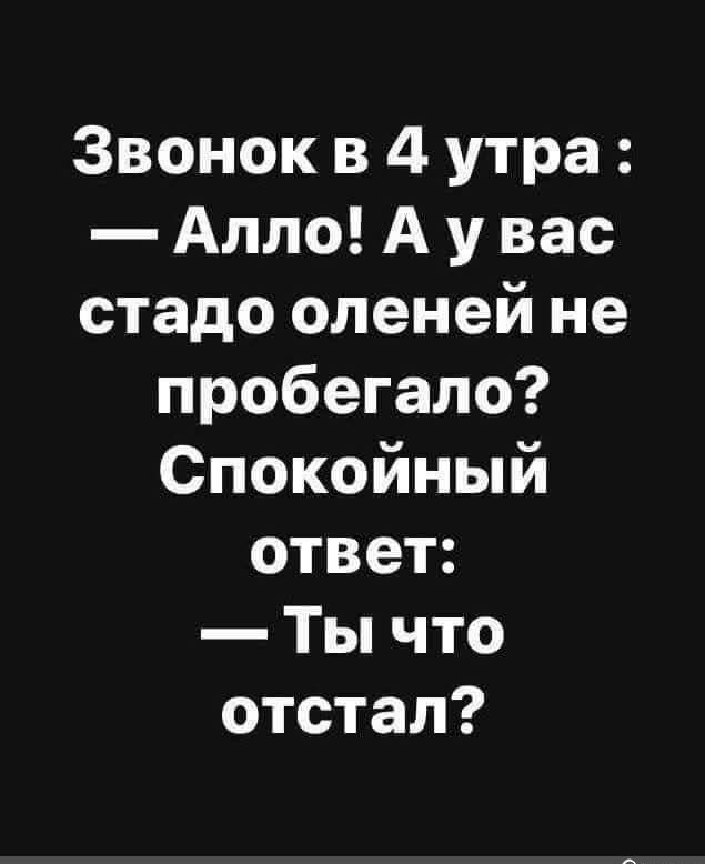 Звонок в 4 утра Алло А у вас стадо оленей не пробегало Спокойный ответ Ты что отстал