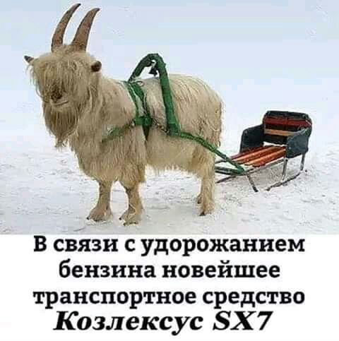В связи с удорожанием бензина новейшее транспортное средство Козлексус ЗХ 7