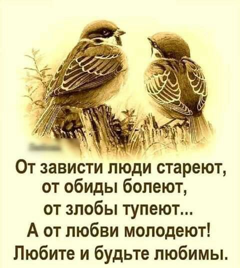 От зависти люди стареют от обиды болеют от злобы тупеют А от любви молодеют Любите и будьте любимы