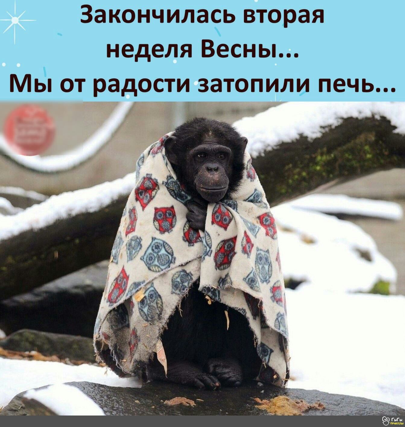 Закончилаеь вторая неделя Весны Мы от радости затопили печь