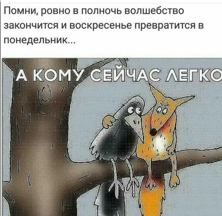 ПОМНИ РОВНО В ПОЛНОЧЬ ВОЛШЭбСТВО ЗЭКОНЧИТСЯ И воскресенье превратится В ПОНЕДЕЛЬНИК