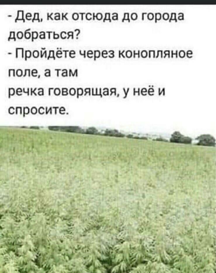 дед как отсюда до города добраться Пройдёте через конопляное поле а там речка говорящая у неё и спросите с г _ _ Ъ