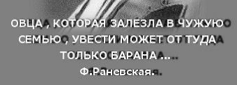 ОВЦА КОМЗАЛЕЗЛА В ЧУЖУЮ СЕМЬЮ УБЕСГИ МОЖЕТ ОТ ТУДА только БАРАНА ФРаневская