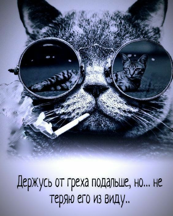 Держусь от греха подальше но не теряю его из виду к