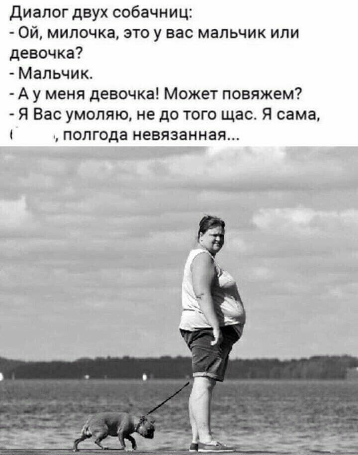 диалог двух собачниц Ой милочка это у вас мальчик или девочка Мальчик А у меня девочка Может повяжем Я Вас умоляю не до того щас Я сама полгода невязанная