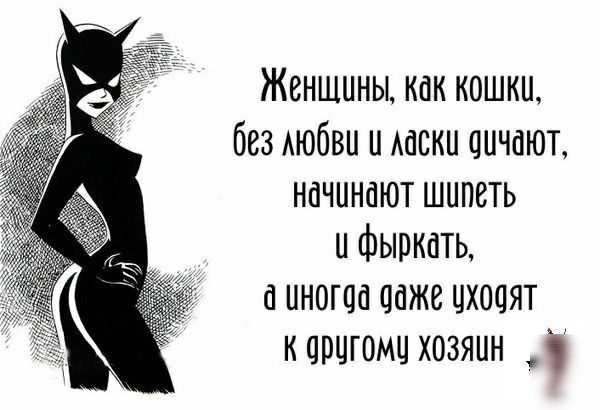 Женщины как кошки без АЮбВН и Ааски шчаюъ начинают шипеть и фыркать а иногца даже цхоаят корцгомц хозяин