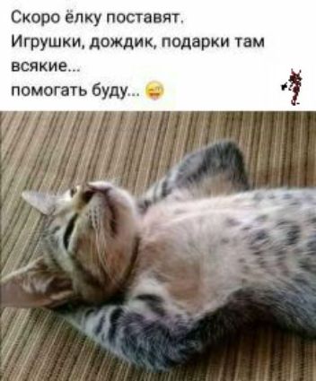 Скоро ёлку поставят Игрушки дпждик подарки там всякие помогать буду а