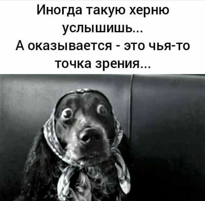 Иногда такую херню услышишь А оказывается это чьято ТОЧКЭ ЗРЕНИЯ