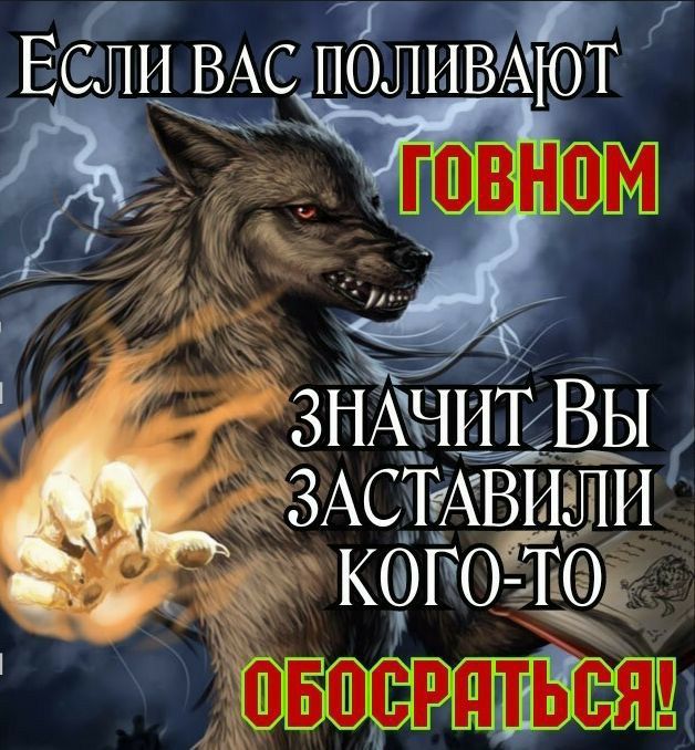 3 ЗИА1ИТВЫ шоЪ ЗАСЁАВИЛИ КФГОЁд