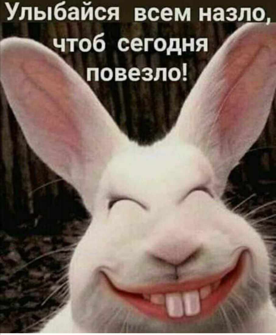 Улыбайся всем назло чтоб сегодня повезло