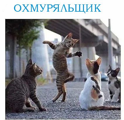 ОХМУРЯАЬЩИК