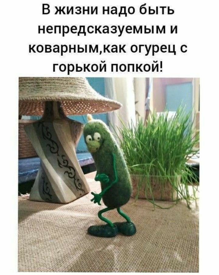 В жизни надо быть непредсказуемым и коварнымкак огурец с горькой попкой