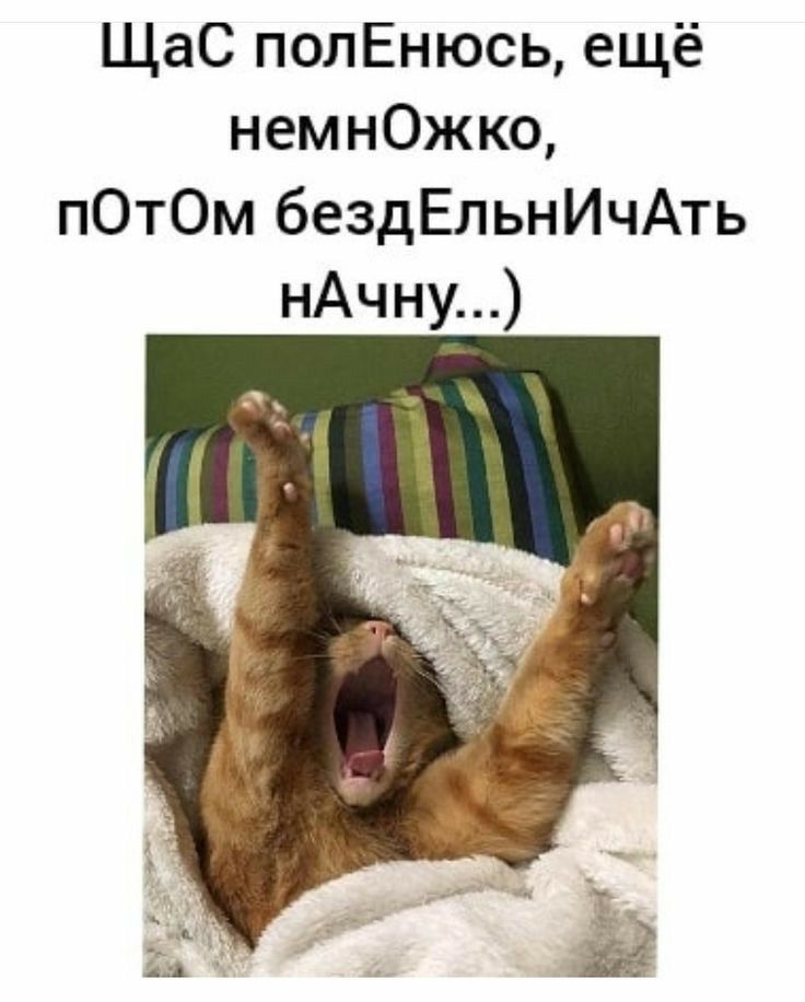 ЩаС полЕнюсь ещё немнОжко пОтОм бездЕльнИчАть нАчну