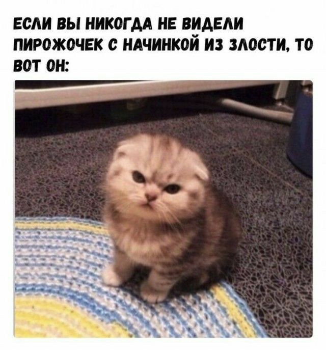 ЕСЛИ ВЫ НИКОГДА НЕ ВИАЕАИ ПИРОЖОЧЕК с НАЧИНКОЙ ИЗ ЗАОСТИ ТО ВОТ 0Н