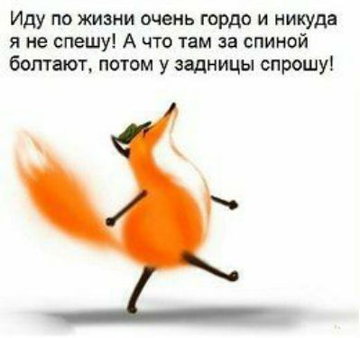 Иду по жизни очень гордо и никуда я не спешу А что там за спиной болтаЮТ потом у задницы спрошу