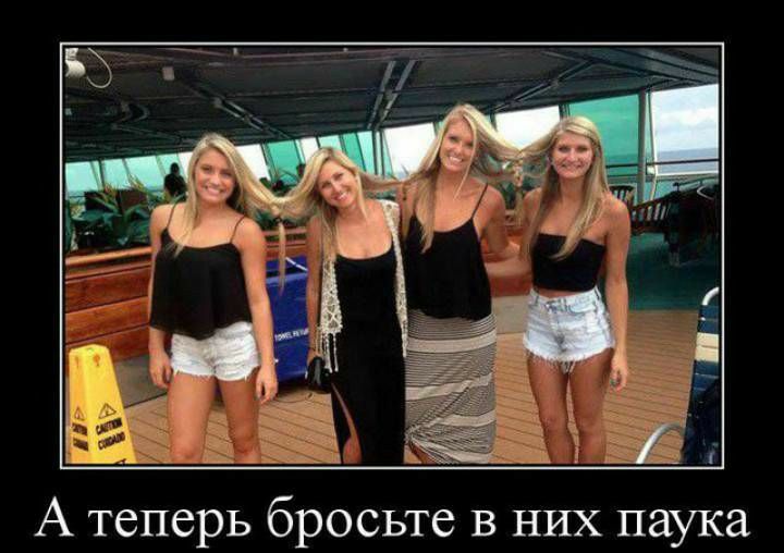 тд А теперь бросьте в них паука