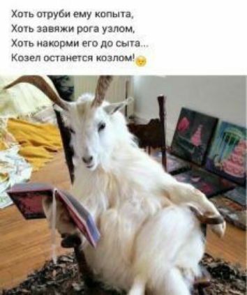 ть тиви Пьпа шь шви рш умом матриц на по м гк питт пчппш 73