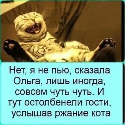Нет я не пью сказала Ольга лишь иногда совсем чуть чуть И тут остопбенепи гости услышав ржание кота