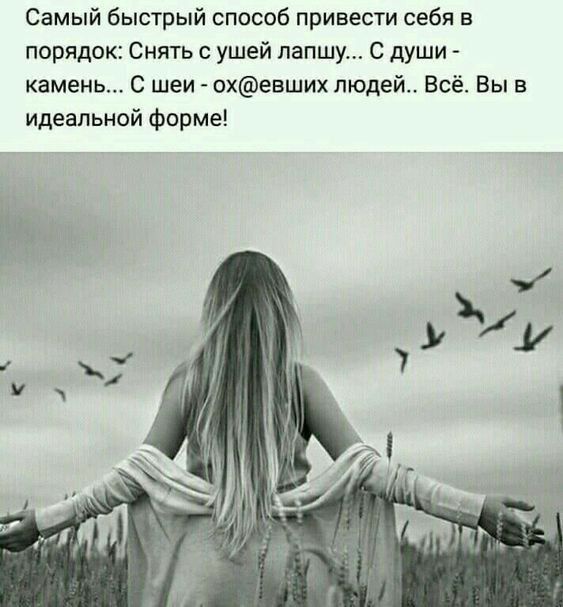 Самый быстрый способ привести себя в порядок Снять с ушей лапшу С души камень С шеи охевших людей Всё Вы в идеальной форме