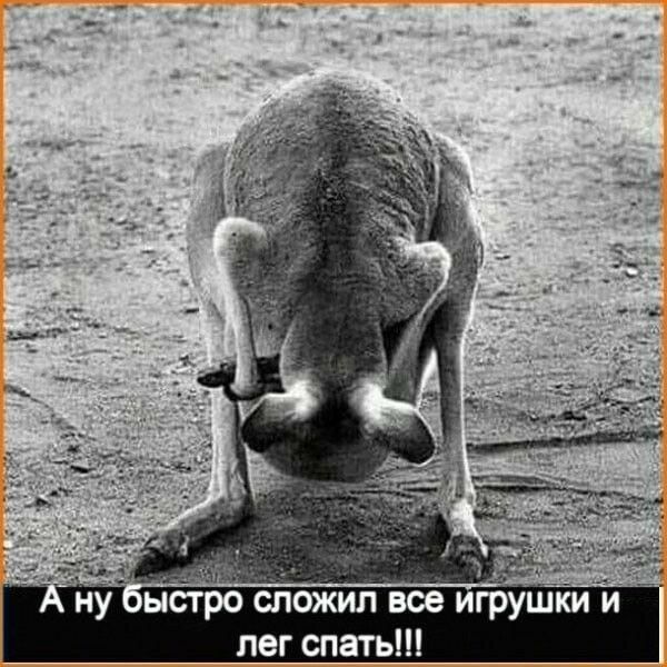 стро сложил все игрушки и лег с ать