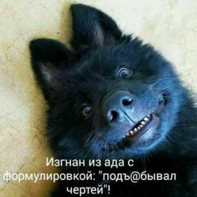 ЗГНЭН ИЗ ада С ровкой подъбывал чертеи