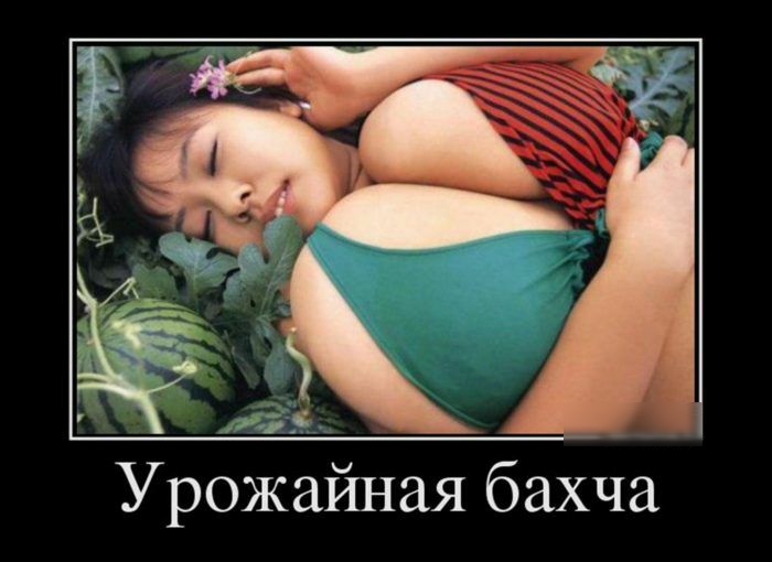 Урожайная бахча